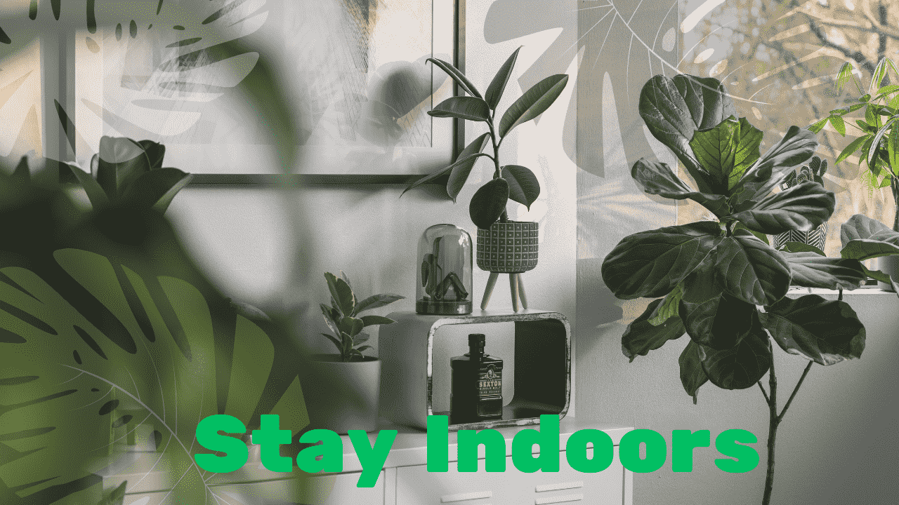 Stay Indoors During Peak Heat Hours